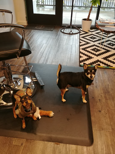 Hair Salon «Cathedral Park Salon», reviews and photos, Cathedral Park Salon, 7227 N Philadelphia Ave #103, Portland, OR 97203, USA