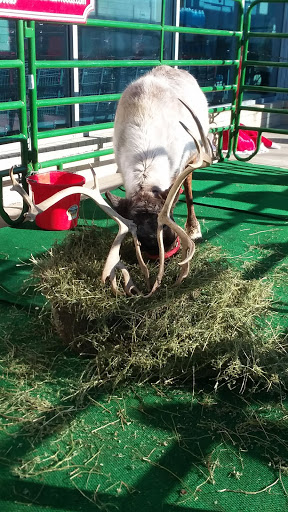 Supermarket «Hy-Vee», reviews and photos, 10808 Fort St, Omaha, NE 68164, USA