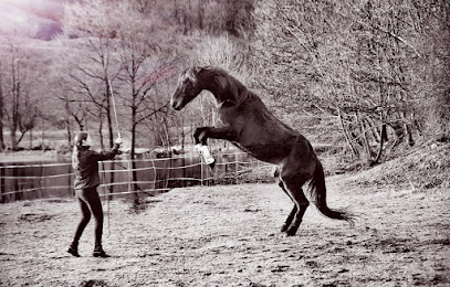 Hestetrener Emmely Wulf
