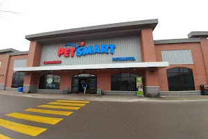 PetSmart image