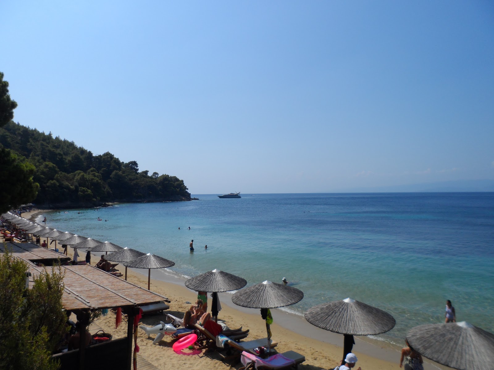 Photo of Koukounaries beach with very clean level of cleanliness