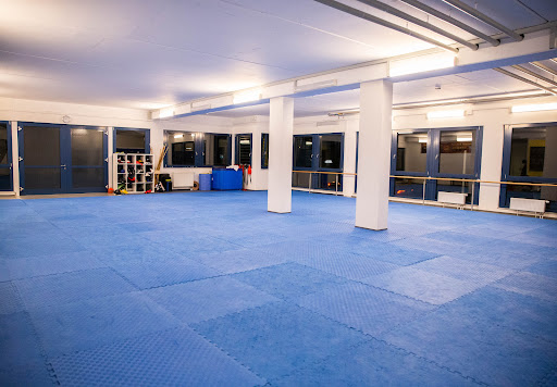 Shaolin Kung-Fu Zentrum Frankfurt