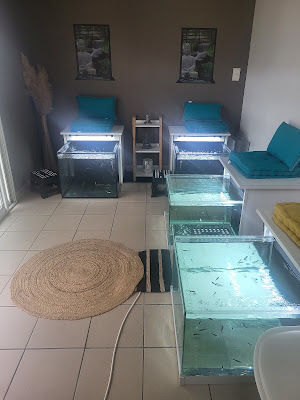 Aqua fish spa à Coutras
