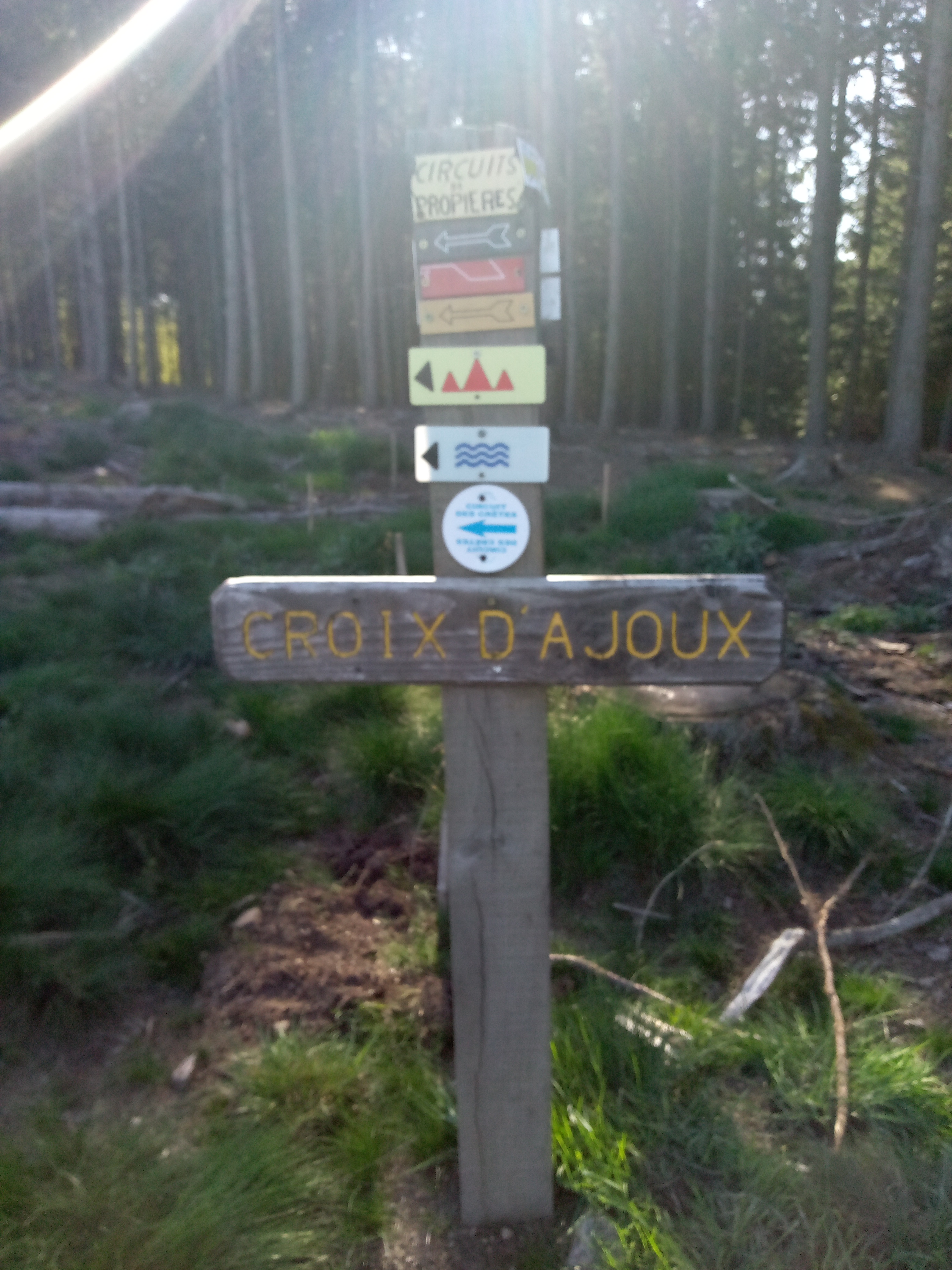 Photo n° 4 de l'avis de masson.e fait le 03/05/2023 à 20:22