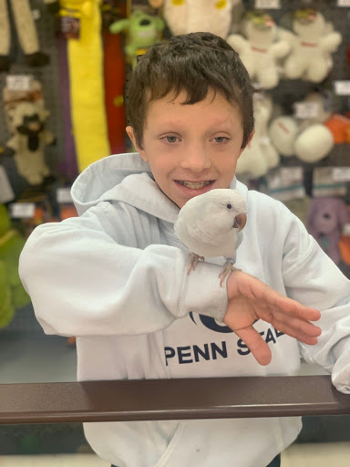 Pet Store «Petland», reviews and photos, 920 Hebron Rd, Heath, OH 43056, USA