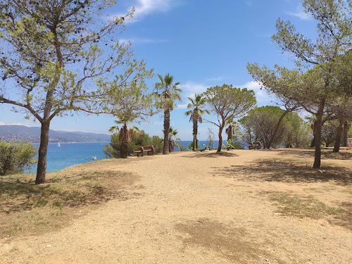 Pinède du Gouron à Bormes-les-Mimosas