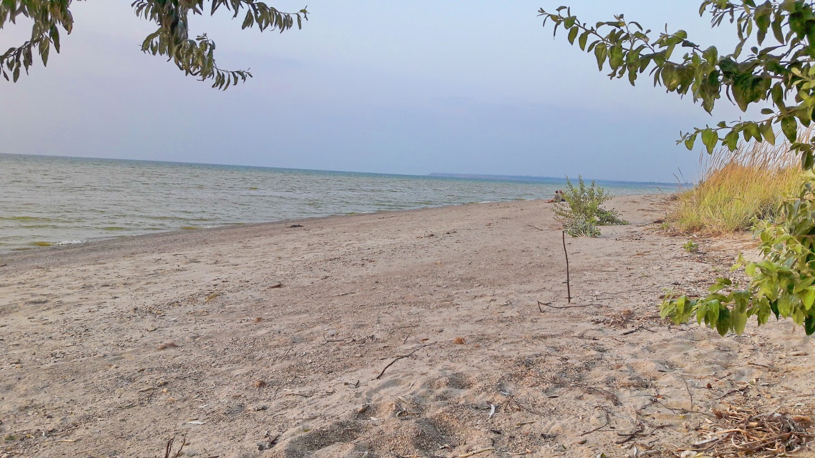 Foto di Kosa Dolgen'kaya con una superficie del sabbia beige