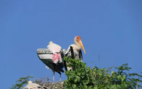 Telineelapuram Bird Nesting Area image