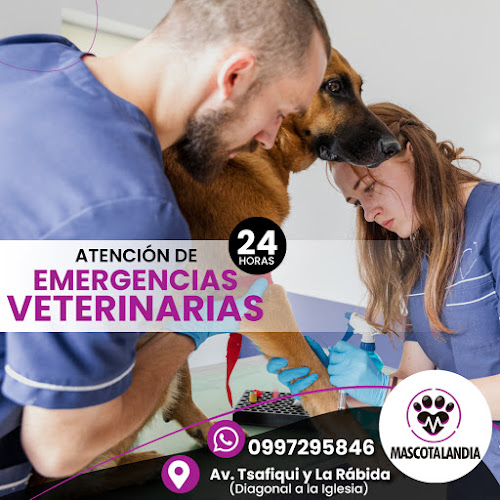 Veterinaria Mascotalandia - Santo Domingo de los Tsachilas - Veterinario