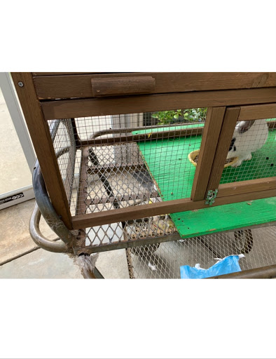 Garden Center «Dees Nursery & Florist», reviews and photos, 69 Atlantic Ave, Oceanside, NY 11572, USA