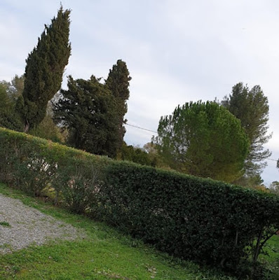 ROMAIN - JARDIN à Cuers