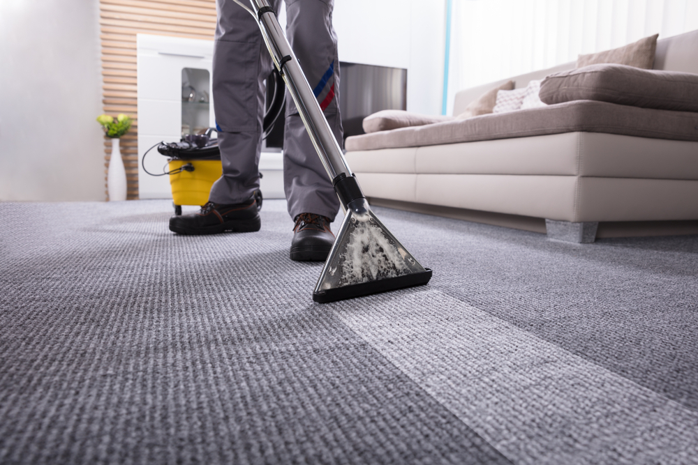 Alpha Carpet & Rug Cleaning Services