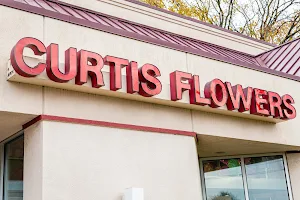 Curtis Flowers image
