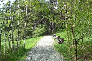 Pavilniai Regional Park image