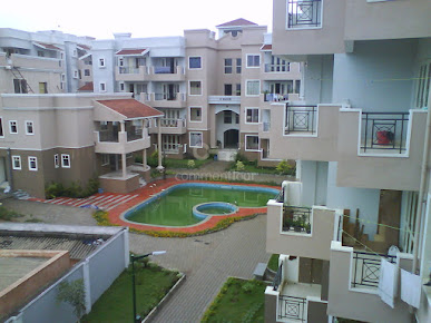 Google Maps image 33