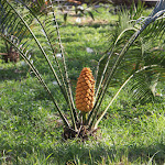 Photo n°7 de l'avis de Carlo.e fait le 20/05/2019 à 22:09 sur le  Hotel Posta à Palermo