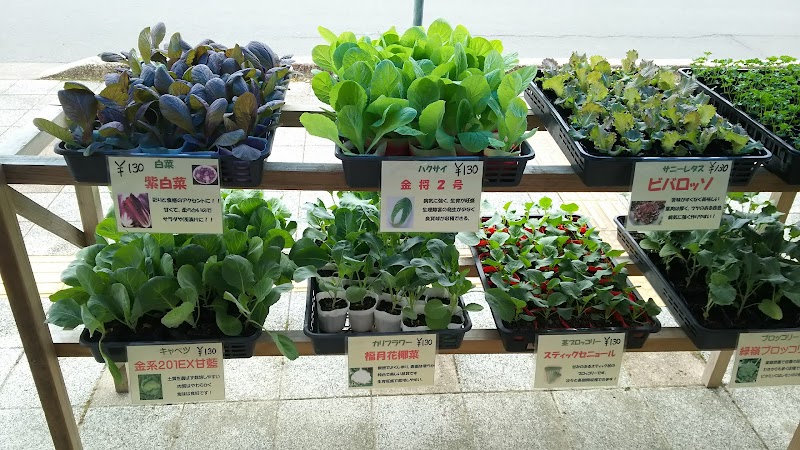 川崎肥料南種子支店