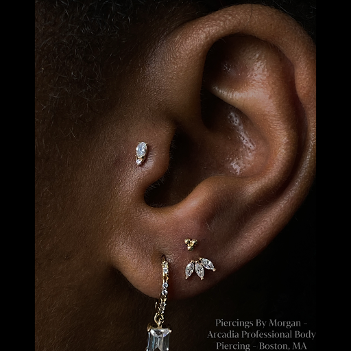 Explore tattoo ideas zeus, creative tattoo ideas in Boston, available at Arcadia Body Piercing