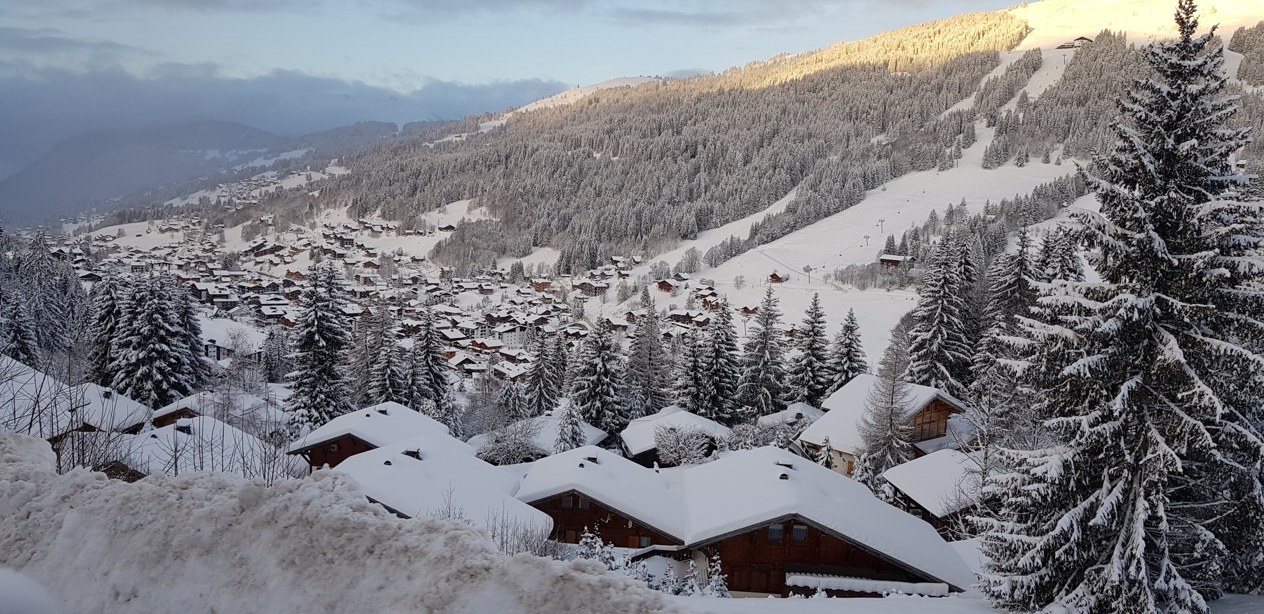 Photo n° 2 de l'avis de Lee.a fait le 01/02/2019 à 05:09
