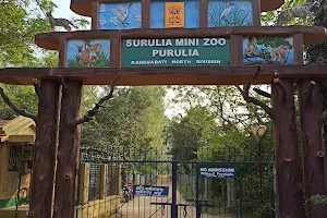 Surulia Mini Zoo image