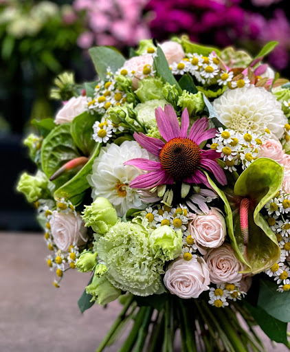 Hair Salon «Aylin Beauty Salon & Spa», reviews and photos, 820 E 41st St, Hialeah, FL 33013, USA