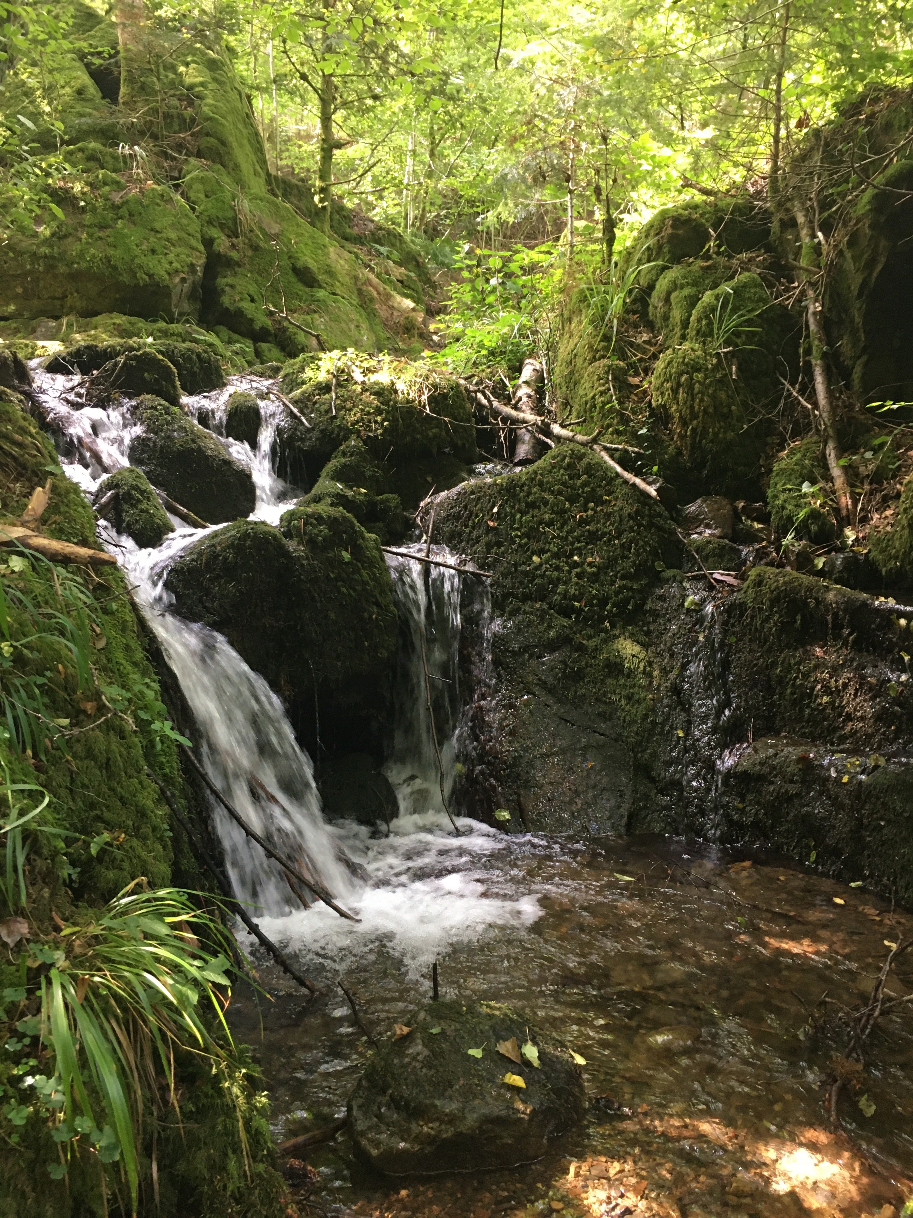 Photo n° 1 de l'avis de Erik.t fait le 13/08/2021 à 14:46