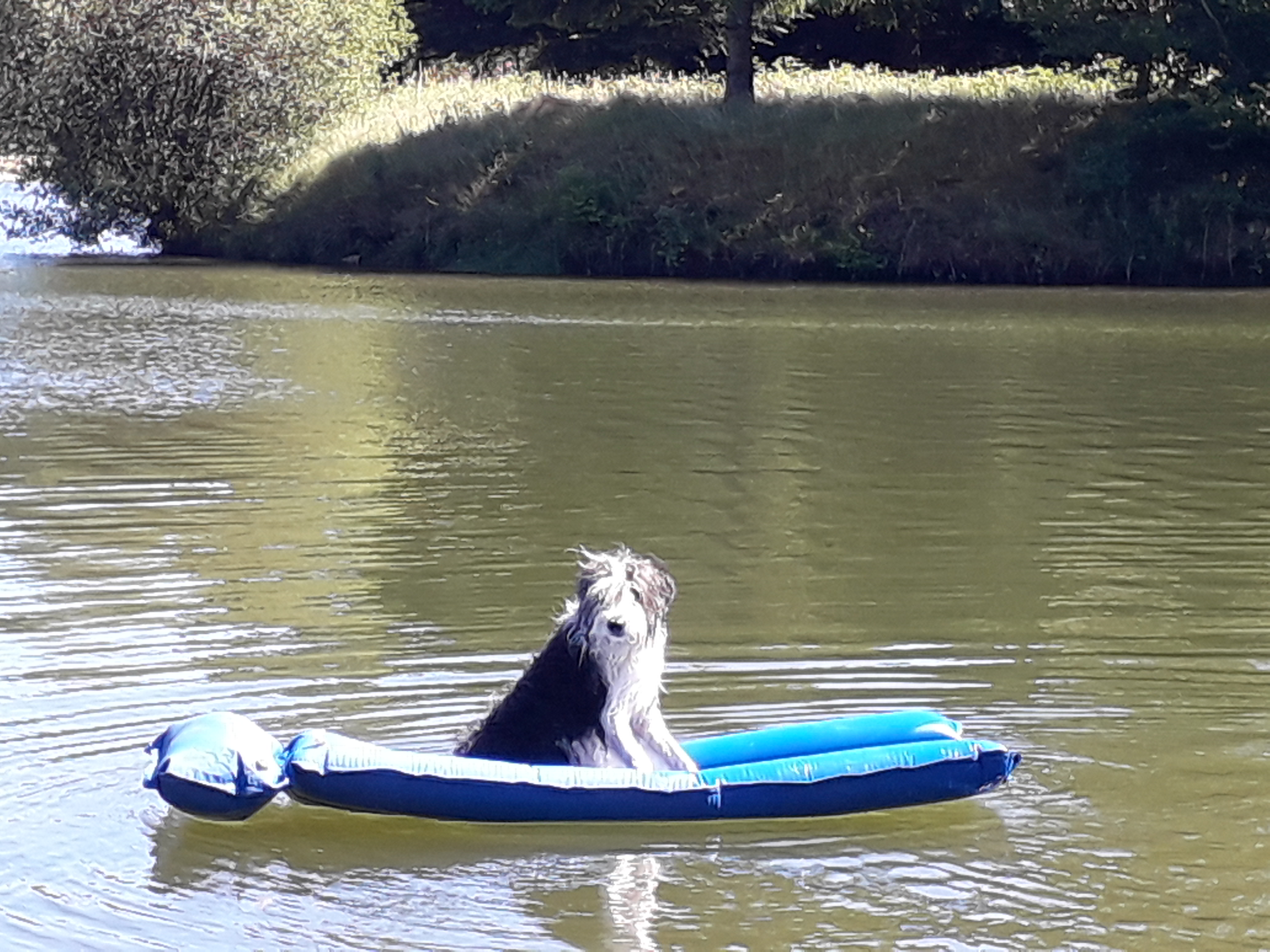 Photo n° 2 de l'avis de Marie.a fait le 13/07/2019 à 16:21