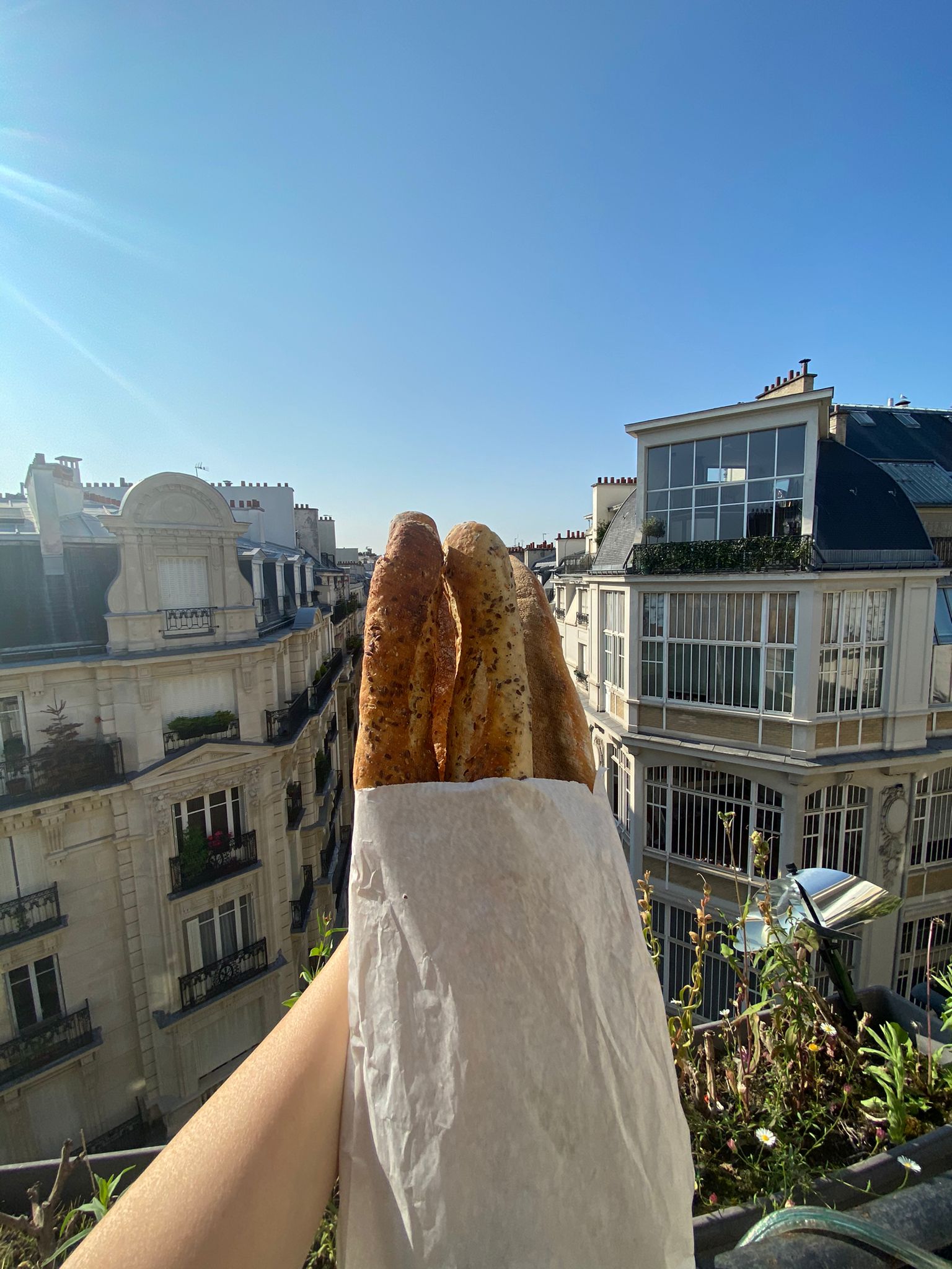 Photo n° 2 de l'avis de Sean.a fait le 26/07/2021 à 17:12