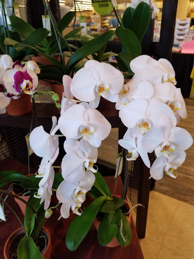 Grocery Store «Randalls», reviews and photos, 6600 S MoPac Expy, Austin, TX 78749, USA