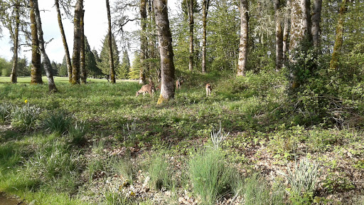 Private Golf Course «Michelbook Country Club», reviews and photos, 1301 NW Michelbook Ln, McMinnville, OR 97128, USA