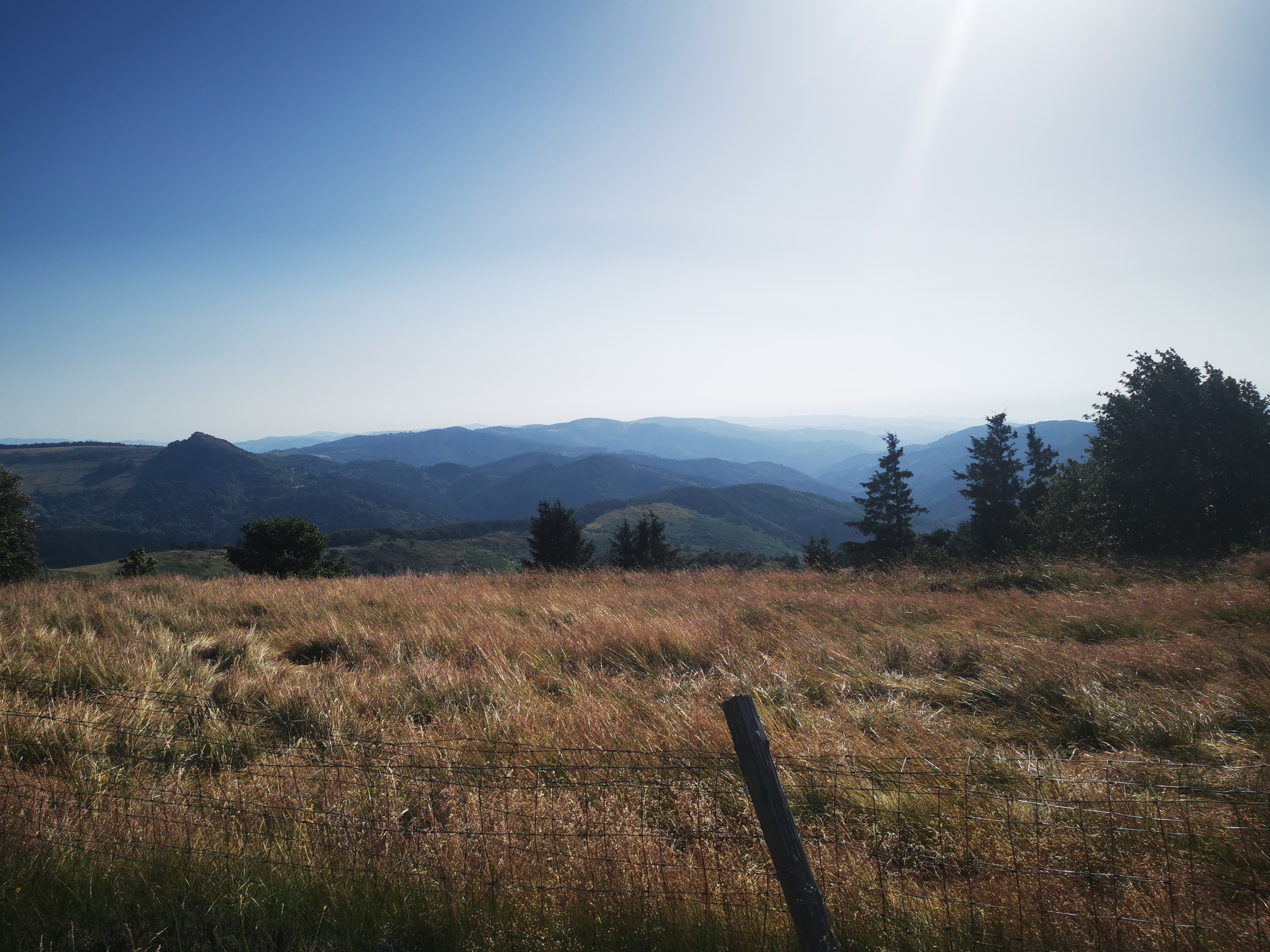 Photo n° 8 de l'avis de Seb. fait le 14/07/2023 à 04:55