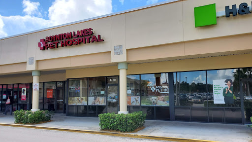 Congress Avenue Animal Hospital