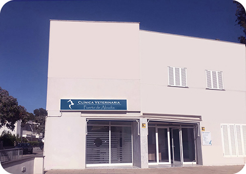 Clínica Veterinaria Puerto de Alcudia en Port d'Alcúdia