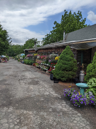 Florist «Butler Florist & Garden Center», reviews and photos, 416 Park Rd, West Hartford, CT 06119, USA