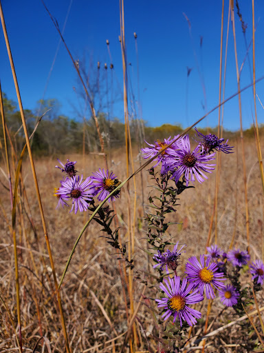 Nature Preserve «Kishwauketoe Nature Conservancy», reviews and photos, 251 Elkhorn Rd, Williams Bay, WI 53191, USA