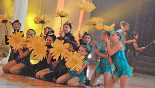 Dance School «Dance and Circus Arts of Tampa Bay», reviews and photos, 1490 N Belcher Rd, Clearwater, FL 33765, USA