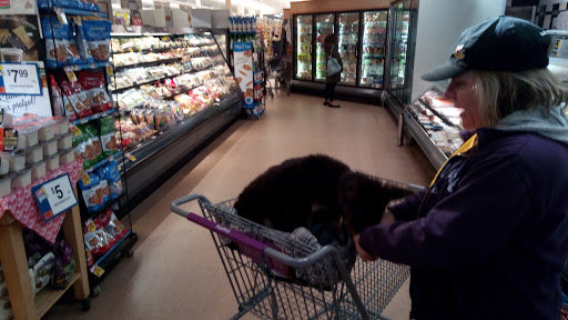 Supermarket «Super Stop & Shop», reviews and photos, 454 Fort Salonga Rd, Northport, NY 11768, USA