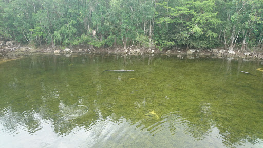 Visitor Center «Big Cypress Swamp Welcome Center», reviews and photos