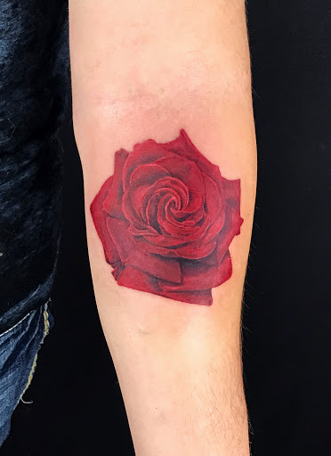 Find dragon arm tattoo ideas for your next unique tattoo in Powell at Elysium Body Enhancements