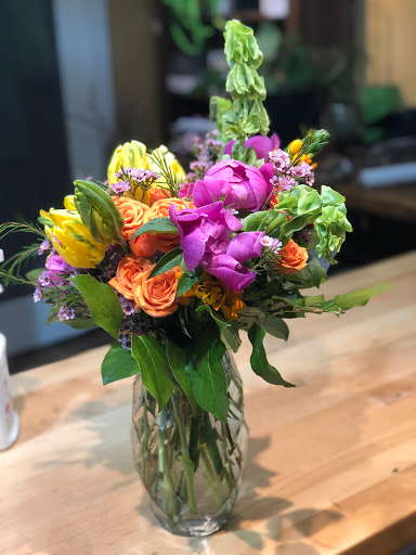 Plant Nursery «Potomac Petals and Plants», reviews and photos, 9545 River Rd, Rockville, MD 20854, USA