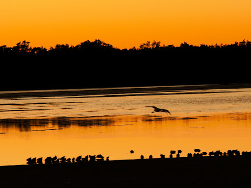 Wildlife Refuge «Ding Darling Wildlife Refuge», reviews and photos, 1 Wildlife Dr, Sanibel, FL 33957, USA