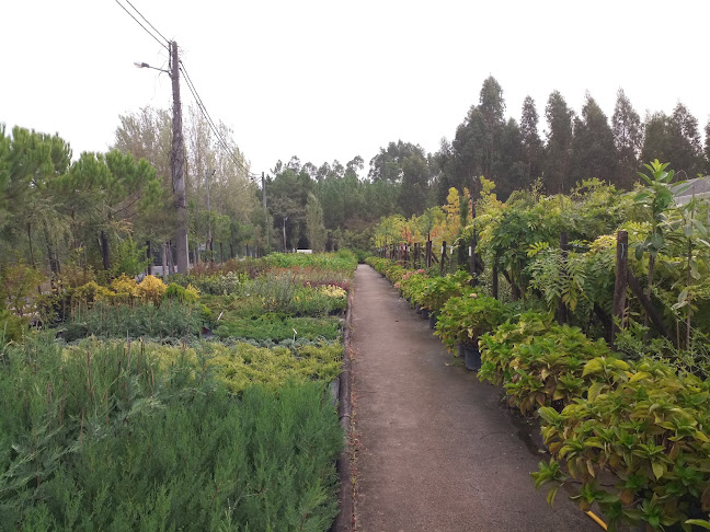 Florlar - Centro de Jardinagem - Ourém