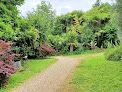 Jardin exotique, palmeraie du sarthou Bétous