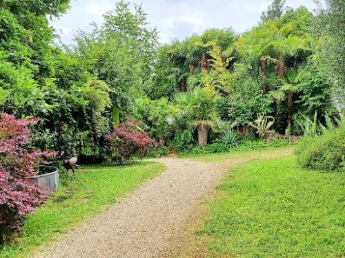 Jardin exotique, palmeraie du sarthou à Bétous