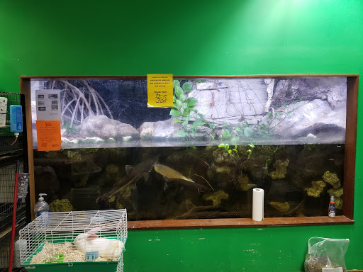 Pet Store «Zoo Creatures Pet Store», reviews and photos, 149 Plaistow Rd, Plaistow, NH 03865, USA