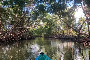 Florida Adventures and Rentals image