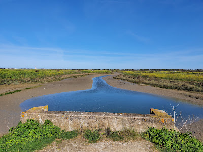 La Route du Sel à Saint-Clément-des-Baleines