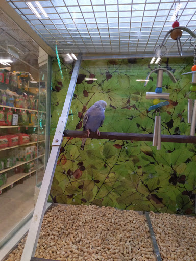 Pet Supply Store «PetSmart», reviews and photos, 1900 W International Speedway Blvd, Daytona Beach, FL 32114, USA