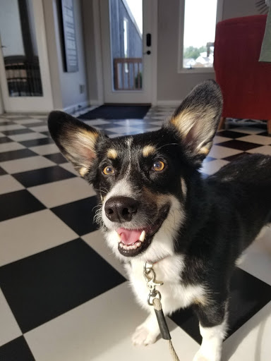 Winery «The Wine Reserve at Waterford», reviews and photos, 38516 Charles Town Pike, Waterford, VA 20197, USA