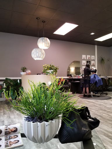 Hair Salon «Lotte Hair Salon», reviews and photos, 12816 Factoria Blvd SE # E, Bellevue, WA 98006, USA